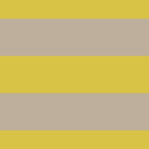 Stripes 12