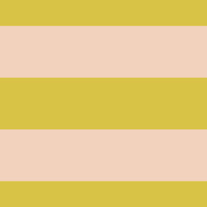 Stripes 5