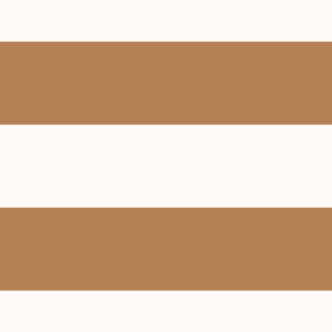 Stripes 11
